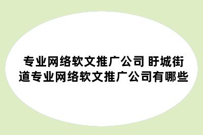 专业网络软文推广公司 盱城街道专业网络软文推广公司有哪些